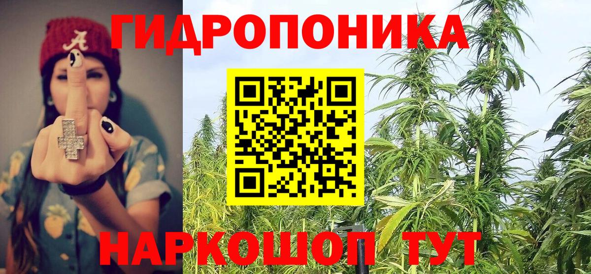 Бошки марихуана индика Моздок